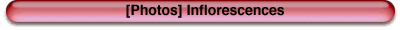 Titre