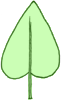 Feuille cordee