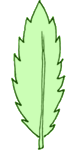 Feuille dentee
